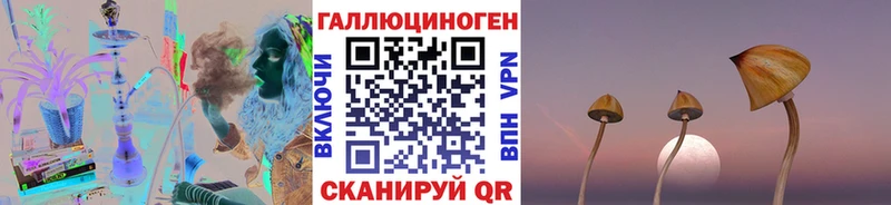 ОМГ ОМГ вход  Руза  Галлюциногенные грибы мицелий 